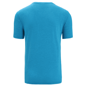 Koszulka z krótkim rękawem Icebreaker Central Classic SS Tee Men GEO BLUE