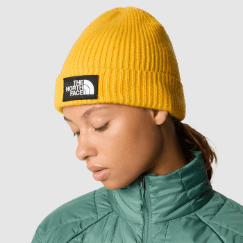 Czapki The North Face TNF LOGO BOX CUFF BEANIE TNF BLUE