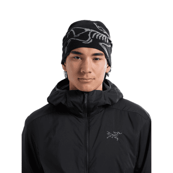 Czapki Arcteryx Lightweight Bird Head Toque Electra / Euphoria