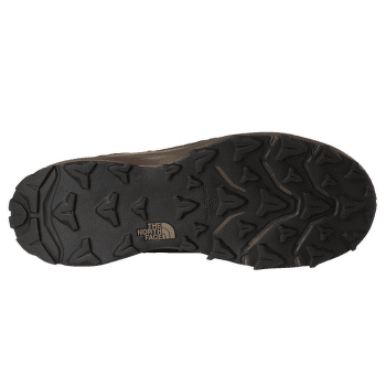 Buty The North Face Vectiv Fastpack Insulated Wp Men DQI DEMITASSE BROWN/GARNET