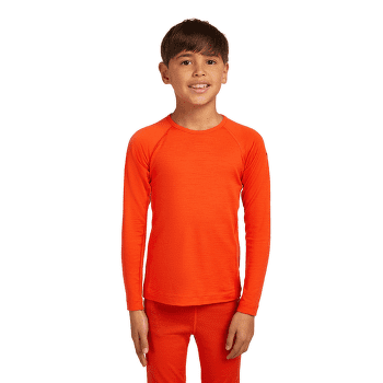 Koszulka z długim rękawem Icebreaker Oasis LS Crewe Kids Gritstone HTHR