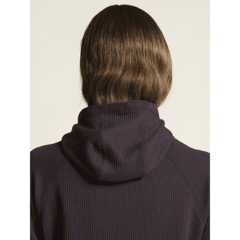 Koszulka z długim rękawem Craft Grid Hood Women DK PLUM