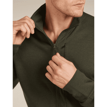 Pulower Icebreaker Merino 260 Quantum LS Zip Men DK LODEN