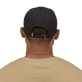 Czapka Patagonia P-6 Label Trad Cap Rinsed Green