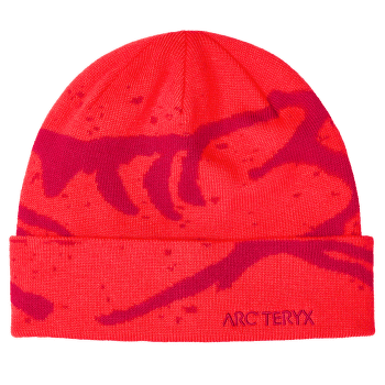 Czapki Arcteryx Grotto Toque Dynasty / Dk Dynsty