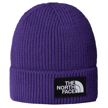 Czapki The North Face TNF LOGO BOX CUFFED BEANIE PEAK PURPLE