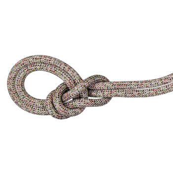 Lina Mammut 9.5 Crag We Care Classic Rope assorted 9000