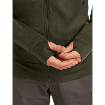 Pulower Icebreaker Merino 260 Quantum LS Zip Men DK LODEN