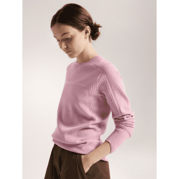 Koszulka z długim rękawem Arcteryx Hallam Merino Wool Crew Women Bliss