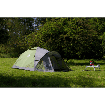 Stan Coleman DARWIN 2 PLUS