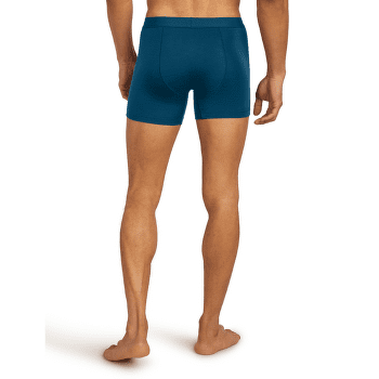 Bokserki Icebreaker Merino 125 Anatomica Cool-Lite Boxers Men ATLANTIS
