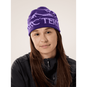 Czapki Arcteryx Bird Word Toque Azalea / Aster