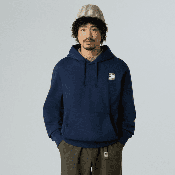 Bluza The North Face MOUNTAIN LOGO RELAXED HOODED SWEATSHIR Men Khaki Stone