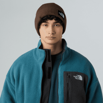 Czapki The North Face SALTY LINED BEANIE TNF BLACK