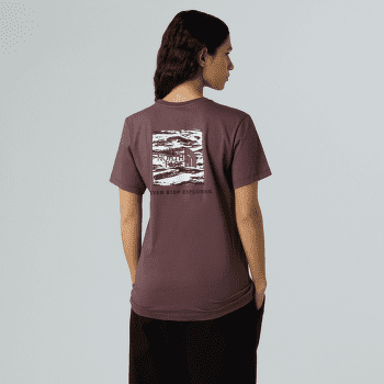 Koszulka z krótkim rękawem The North Face BOX NSE EDGE OF LIGHT INFILL RELAXED S Women ES9 TAWNY QUARTZ/TNF BLACK EDGE OF LIGHT PRINT