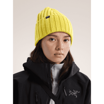 Czapki Arcteryx Chunky Ribbed Toque Solitude Heather
