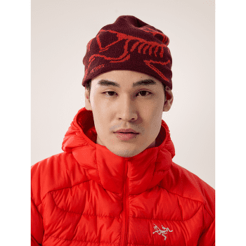 Czapki Arcteryx Bird Head Toque Euphoria / Olive Moss