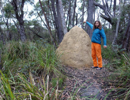 Test kurtki ocieplanej z kapturem Sir Joseph Spike