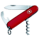 Nóż Victorinox Waiter