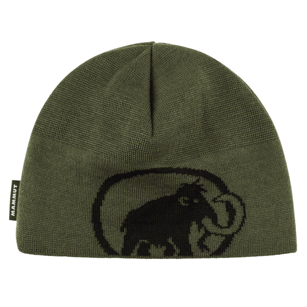 Czapki Mammut Tweak Beanie (1191-01352) 40294 dark marsh-black