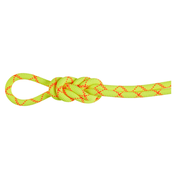 Lina Mammut 9.5 Alpine Core Protect Dry Rope 1287 halo-vibrant orange