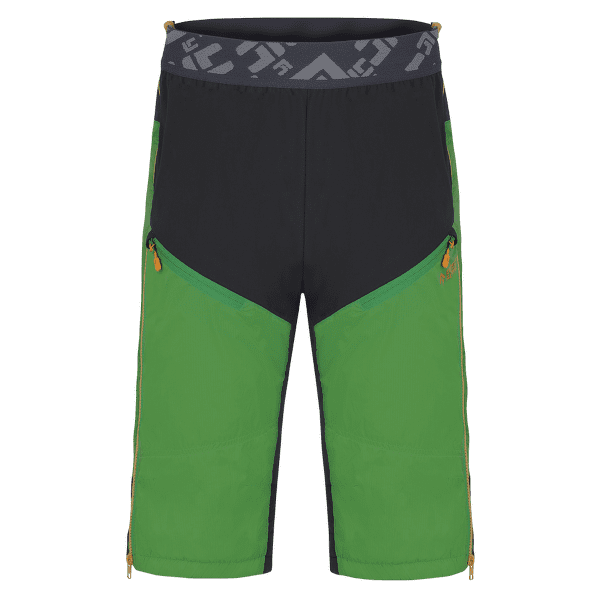 Szorty Direct Alpine Logan Alpha green/mango