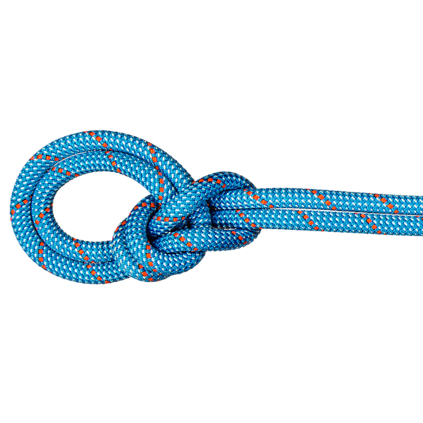 Lina Mammut 9.8 Crag Classic Rope 40304 ice mint-white