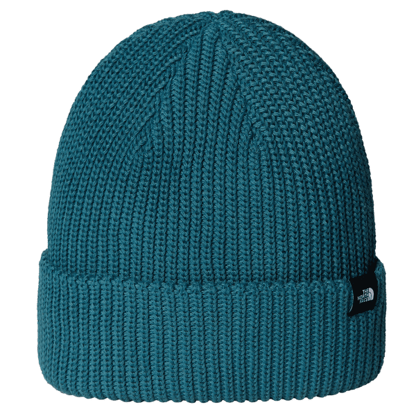 Czapki The North Face TNF Fisherman Beanie BQ5 SPACE