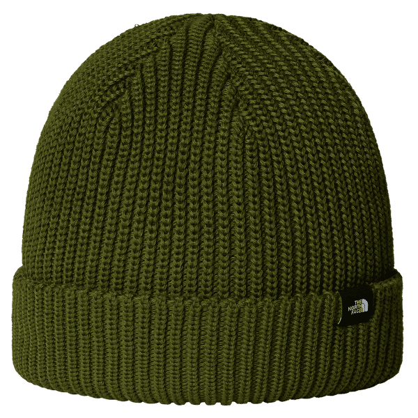 Czapki The North Face TNF Fisherman Beanie BRI WOODLAND GREEN