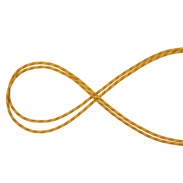 Lina Mammut 10.0 Performance Static yellow-black 1039