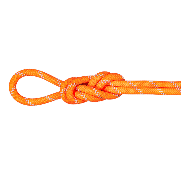 Lina Mammut 9.5 Alpine Dry Rope 2286 vibrant orange-zen