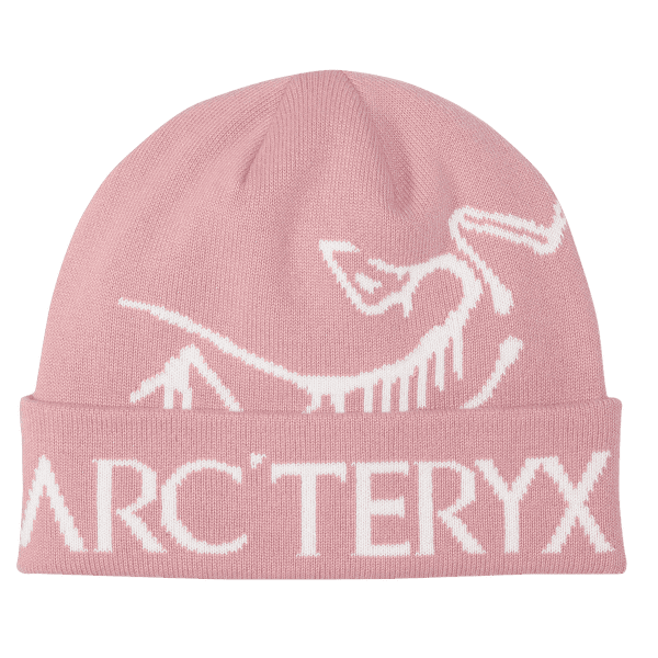 Czapki Arcteryx Bird Word Toque Bliss / Arctic Silk