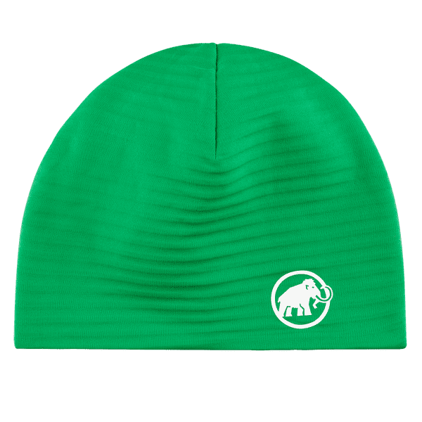 Czapki Mammut Taiss Light Beanie 40306 pinea