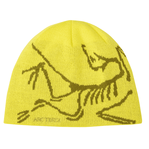 Czapki Arcteryx Bird Head Toque Euphoria / Olive Moss