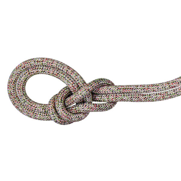 Lina Mammut 9.5 Crag We Care Classic Rope assorted 9000