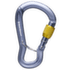 Karabinek wspinaczkowy Black Diamond GRIDLOCK SCREWGATE CARABINER Gray