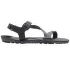 Z-Trail EV Men Steel Gray/Asphalt (SGAP)