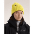 Czapki Arcteryx Chunky Ribbed Toque Solitude Heather