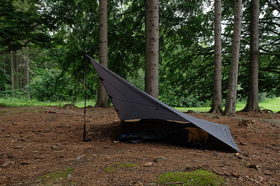 Tarp_02