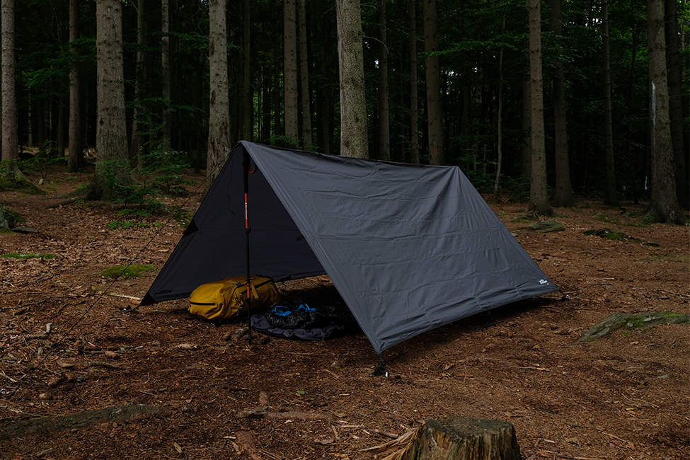 Tarp_03