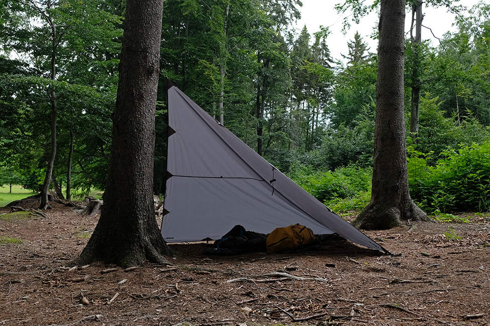 Tarp_04
