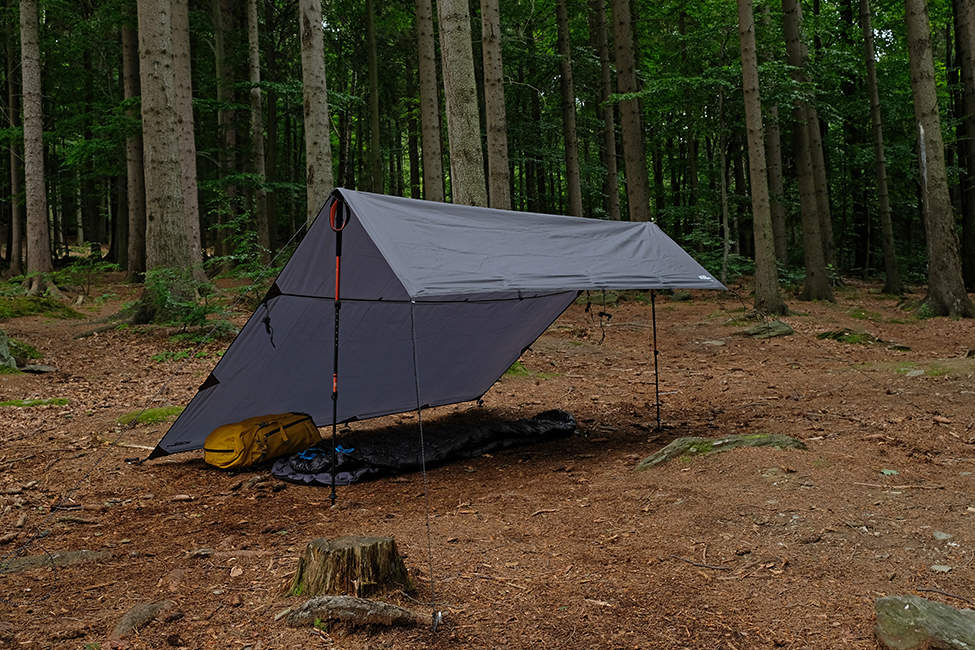 Tarp_06