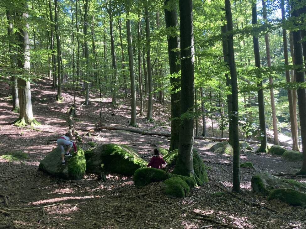 Jak_odstranit_smulu (3)