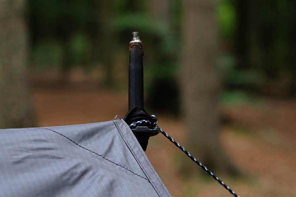 Tarp_07